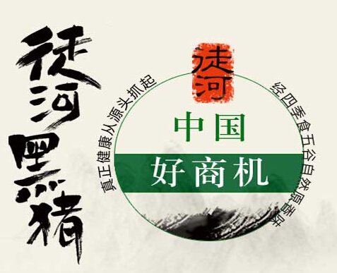 有機豬肉招商加盟