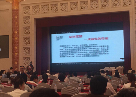 徒河黑豬招商加盟