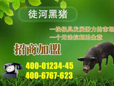 招商加盟好項(xiàng)目